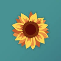 Brun og blid solpass Brun og blid solpass