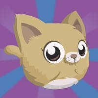 Kitty Meow Meow adorable – Cat Jump Night