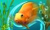 MyLake 3D Aquarium TV