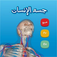 Anatomy AR