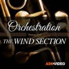 The Wind Section Guide