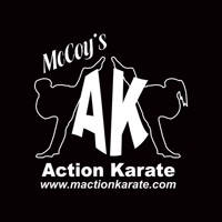 More Than Just Karate