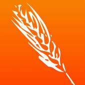 Quick Commodities