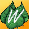 WordSwat – 1st Grade and Kindergarten Spelling Practice