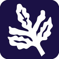 Fenerium Sanal Mağaza