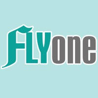 FLYone泓愷科技 行車導航品牌