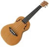 Teach Yourself To Play Ukulele