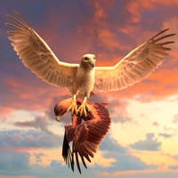 Clan of Eagle