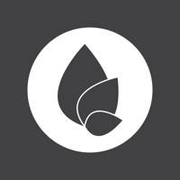 Northgate FMC Northgate FMC