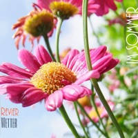 Revier Wetter Revier Wetter