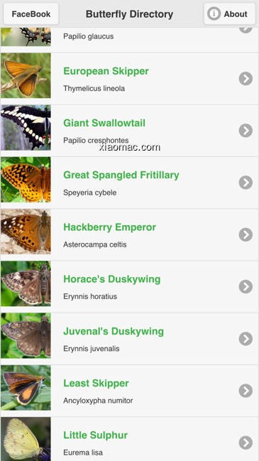【图】Butterfly Directory(截图2)