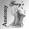 Gray’s Anatomy Gray’s Anatomy