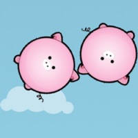 拯救小猪——飞在风口上的猪猪大救援