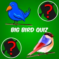 Big Bird Watchers Quiz Maestro: Ornithology Watching Word Trivia Big Bird Watchers Quiz Maestro: Ornithology Watching Word Trivia