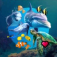 Ocean Reef Life – 3D Aquarium