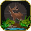 Safari Pro Hunter – The Jungle Hunting Season Free