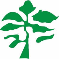 RCCG Olive Tree RCCG Olive Tree