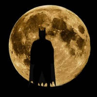 拼图 for 蝙蝠俠 拼图 for 蝙蝠俠