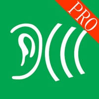 噪声检测仪专业版-支持导出录音功能