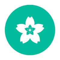 帅哥日语Pro-零基础掌握日语