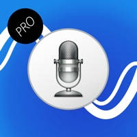 Voice Translator Professional Voice Translator Professional