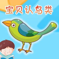 宝贝认鸟类 -幼儿早教启蒙1-2岁看图识字认知合集 宝贝认鸟类 -幼儿早教启蒙1-2岁看图识字认知合集