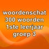 Woordenschat1