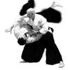 Aikido Master Class Aikido Master Class
