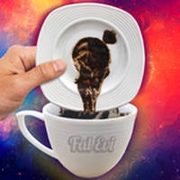 Fal Evi – Sesli Fal,Kahve Falı