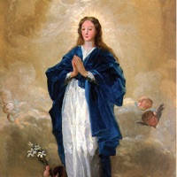 Academia Inmaculada Concepción Academia Inmaculada Concepción