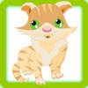 Real Cat Simulator : Free Roam