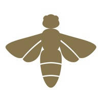 Beesline Beesline