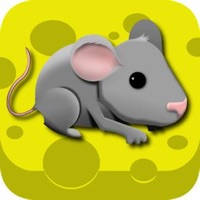 Cheese N Mouse – Run Cheese N Mouse – Run