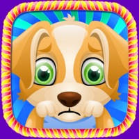 宠物狗医生:宠物狗狗喂养免费游戏大全