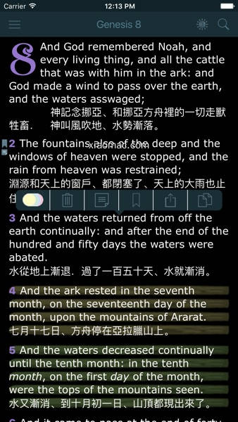 【图】Chinese English Bilingual Bible King James Version(截图2)