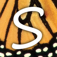 Silvana Dayspa & Salon