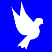 Your Spiritual Gifts Your Spiritual Gifts