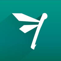 Flapper – Your New First Class