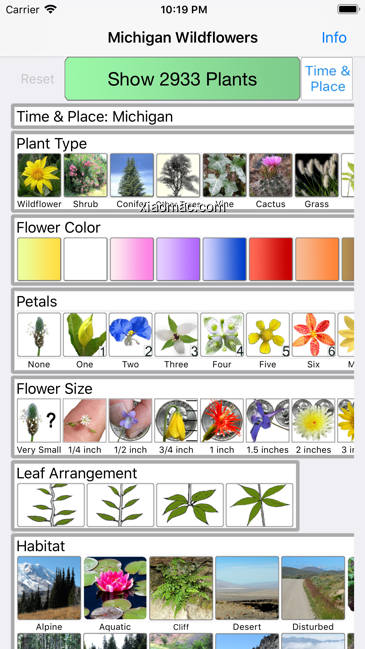 【图】Michigan Wildflowers(截图1)