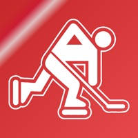 Name It! – Detroit Hockey Edition