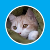 AnimalSounds-See Image and Hear sounds