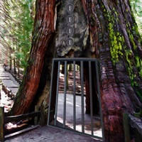 Yosemite National Park Escape Yosemite National Park Escape
