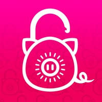 Password Pig