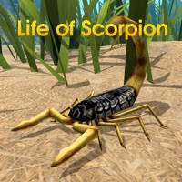 Life Of Scorpion