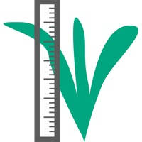 Research POGO Research POGO