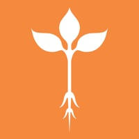 Roots – Mobile Ordering Roots – Mobile Ordering