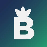 BudBuds.us