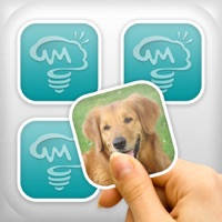 Memory cards free – Brain challenge