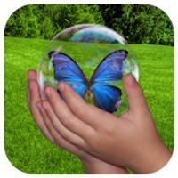 4 Seasons 5 Senses – An Interactive Children’s Flashcard Story Book HD