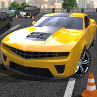 City Parking Mania City Parking Mania